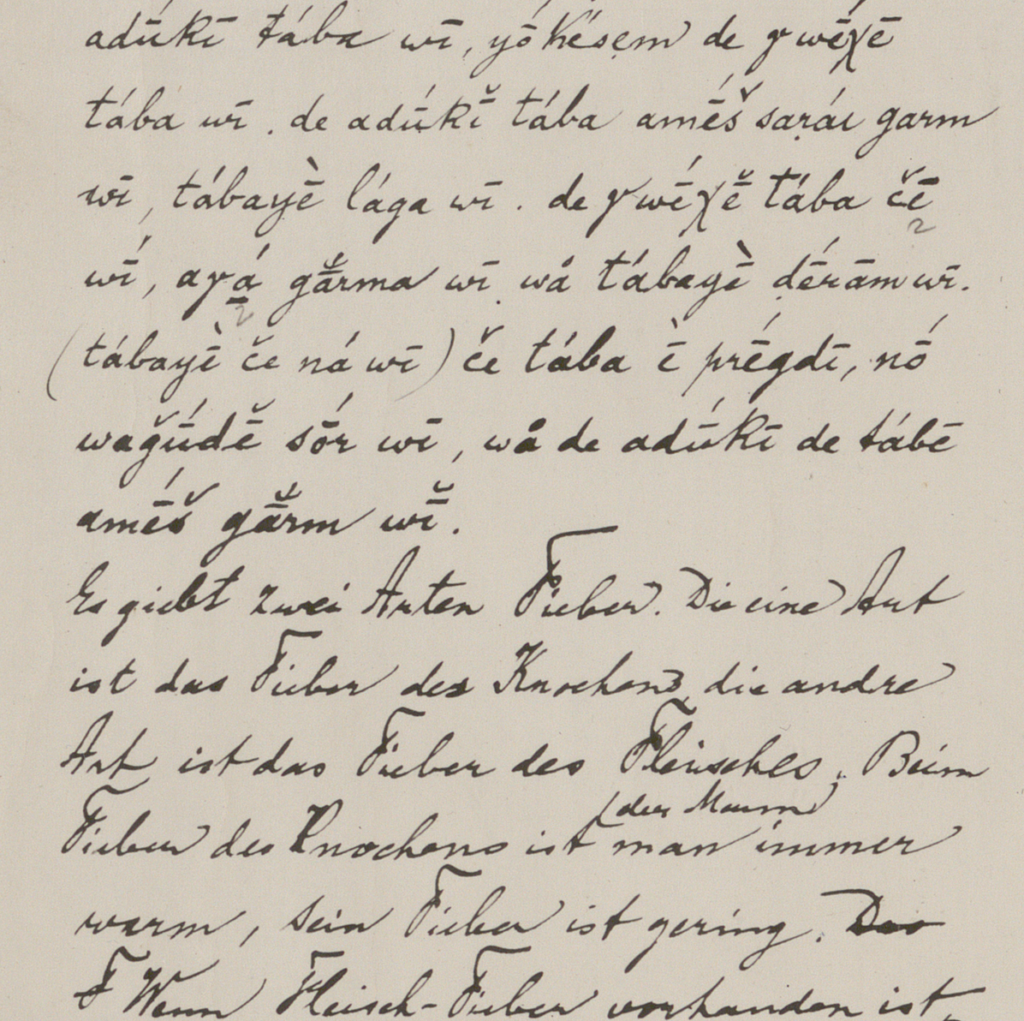 „Zwei Arten von Fieber“, beschrieben von Sunab Gul, transkribiert und übersetzt von Friedrich Carl Andreas, zwischen 1917 und 1918